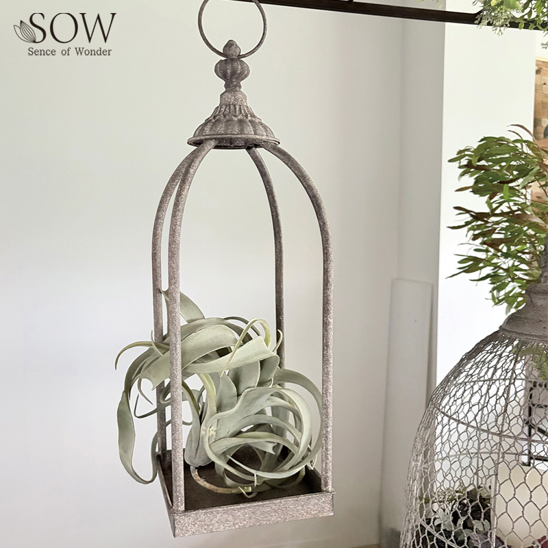 ■SOW（ソウ）■■2026AW　先行予約■　クラシカルアイアン　プラントホルダー
