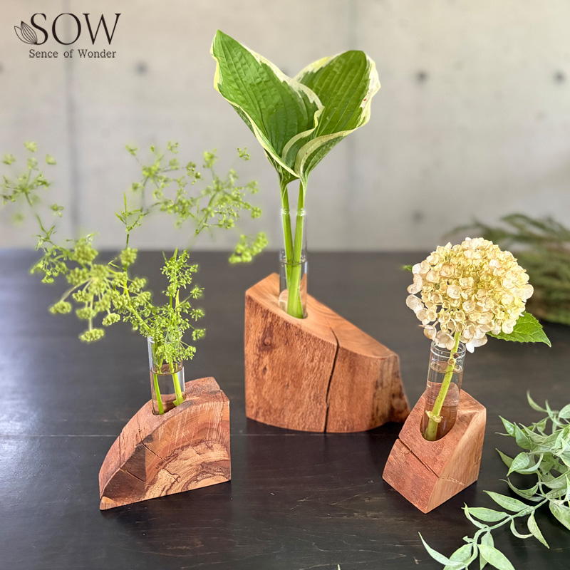 ■SOW（ソウ）■■2026AW　先行予約■　TOTREE　さくらベース