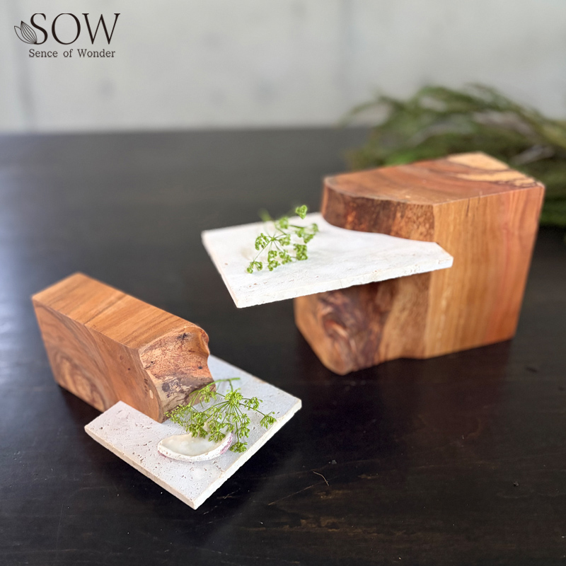 ■SOW（ソウ）■■2026AW　先行予約■　TOTREE　さくらスタンド