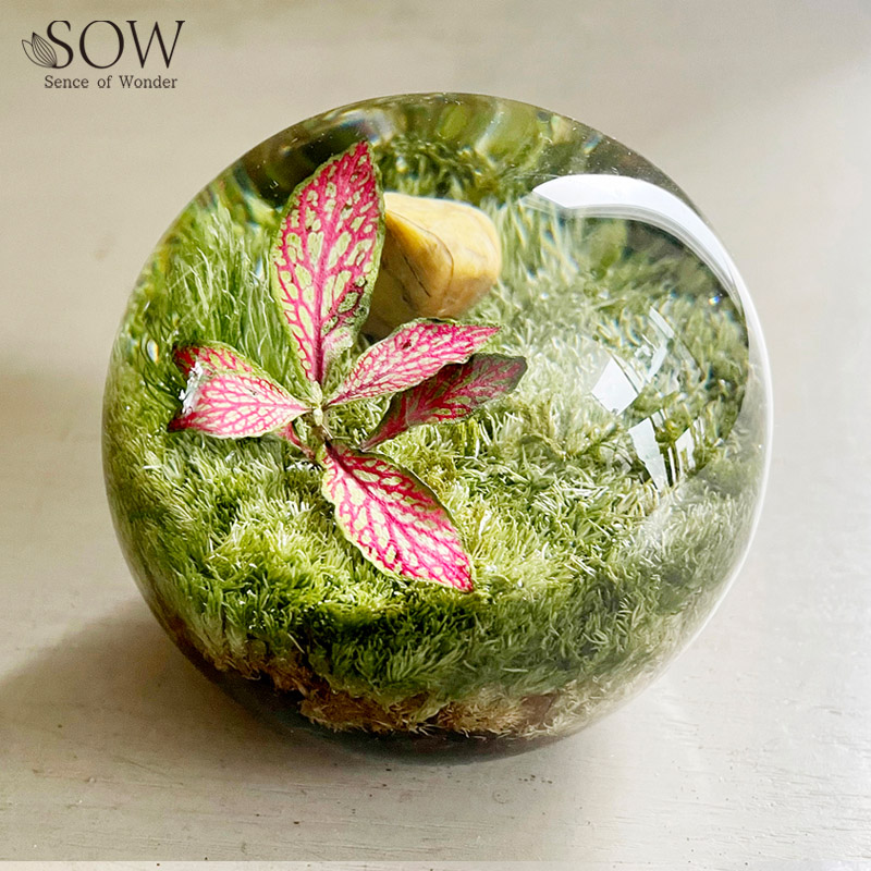 ■SOW（ソウ）■■2026SS　先行予約■　ペーパーウェイト ボタニカルオーブ　フットニア