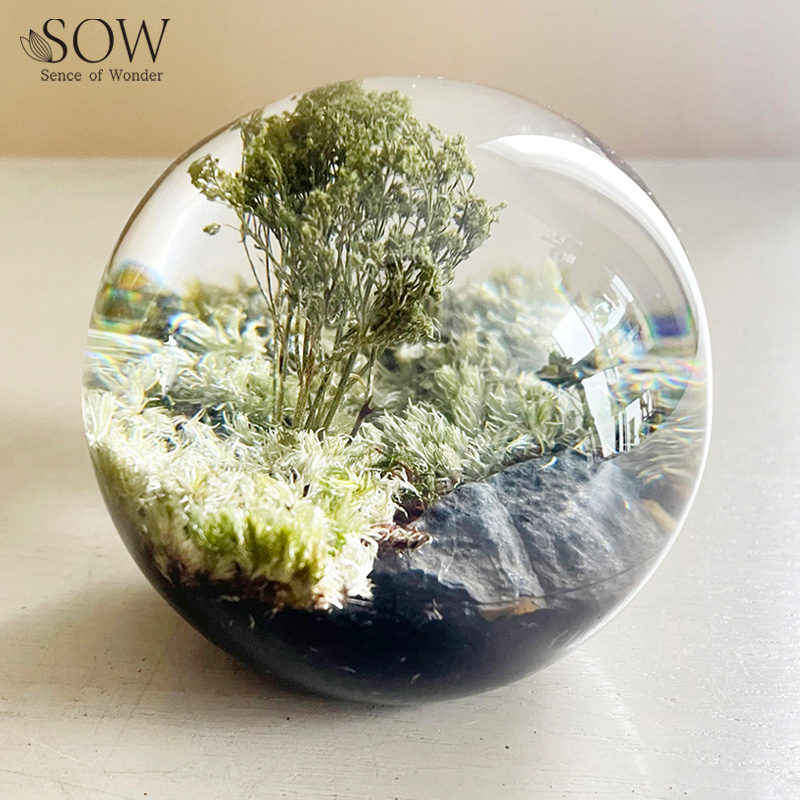 ■SOW（ソウ）■■2026SS　先行予約■　ペーパーウェイト ボタニカルオーブ　フォレスト