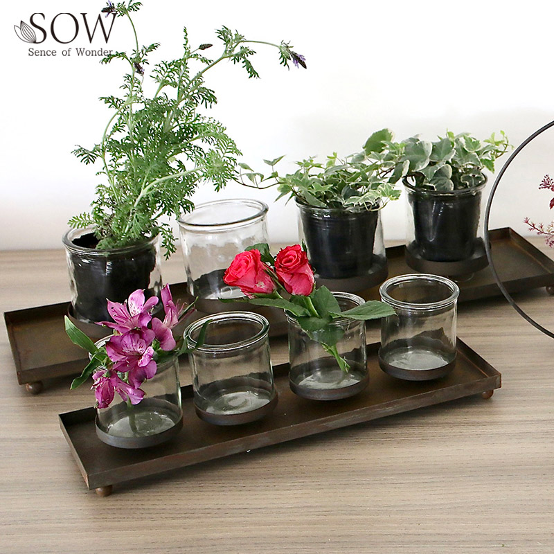 ■SOW（ソウ）■■2026SS　先行予約■　モジュール　レクトガラスホルダー