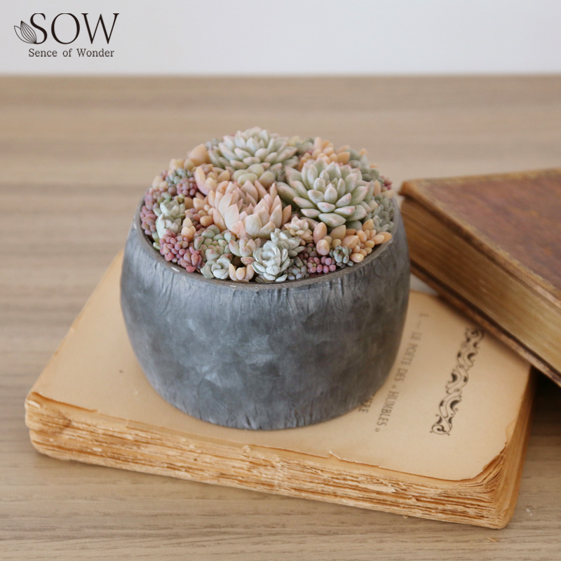 ■SOW（ソウ）■■2026SS　先行予約■　ブリキプランター　ラウンド　XXSサイズ