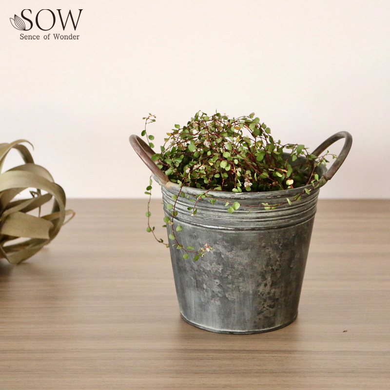 ■SOW（ソウ）■■2026SS　新作■　ブリキハンドルポット　XLサイズ