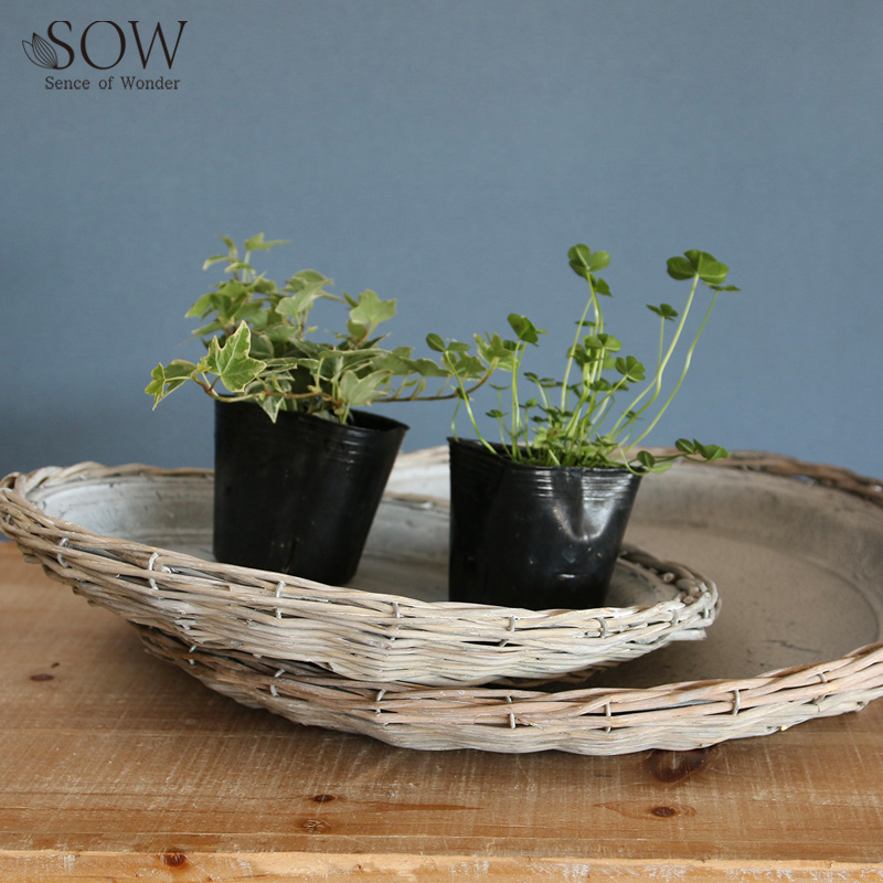 ■SOW（ソウ）■■2026SS　先行予約■　かご編みアンティークプレート