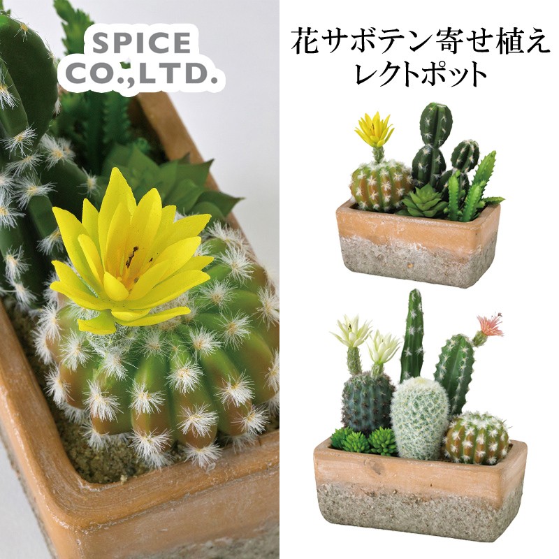 スパイス フェイクグリーン 花サボテン寄せ植え レクトポット Webで直接仕入れ 雑貨 卸 雑貨 仕入れならパディスマーケット 本店