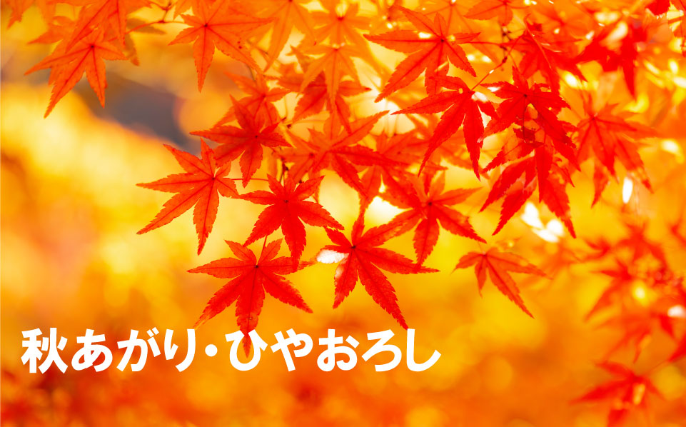 秋あがり・ひやおろし