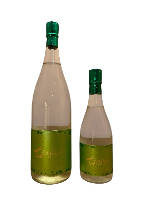 ちえびじん　Evergreen（エバーグリーン）