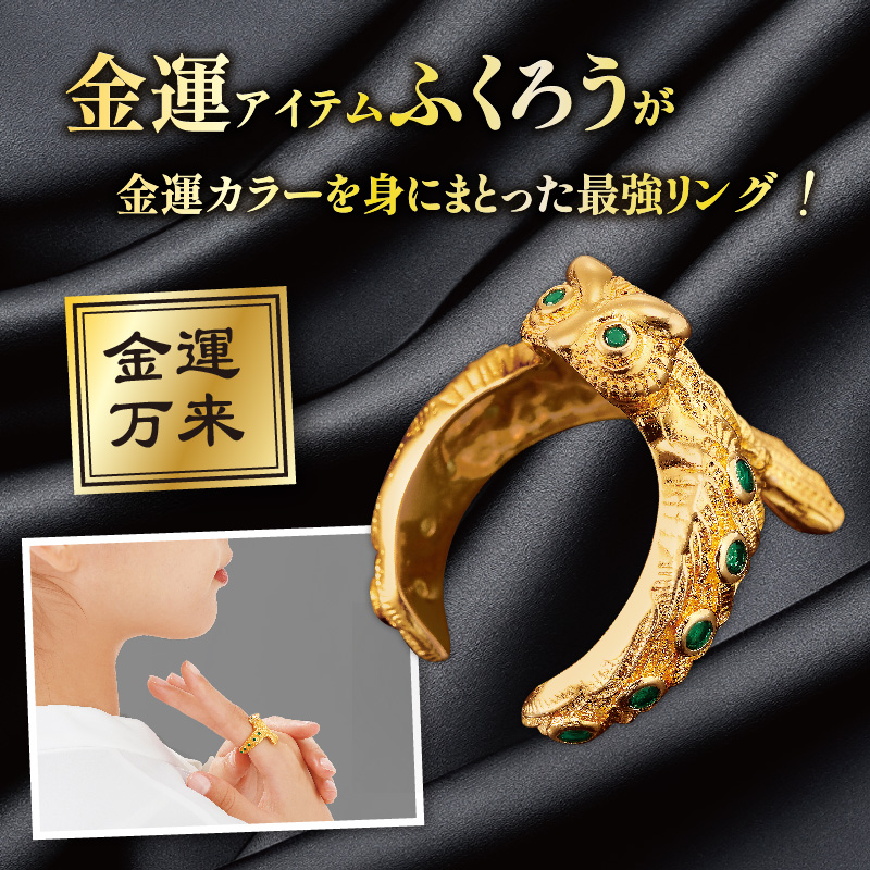 プレミアムエバーライフリング