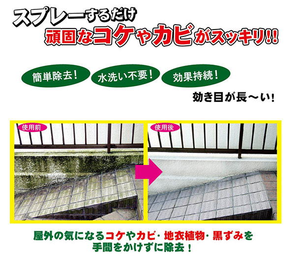 h727　コケカビ取り