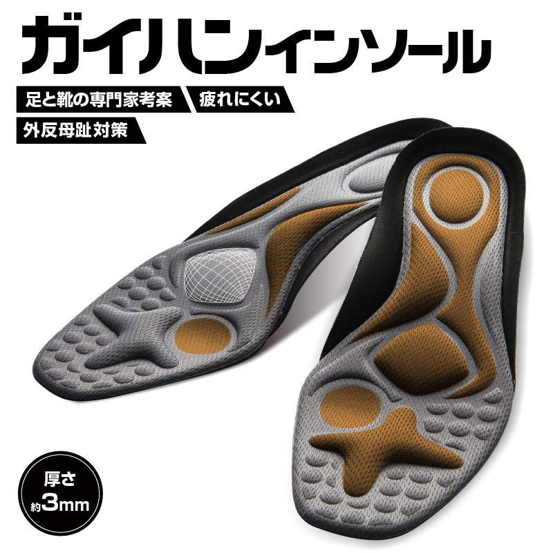 ガイハンインソール