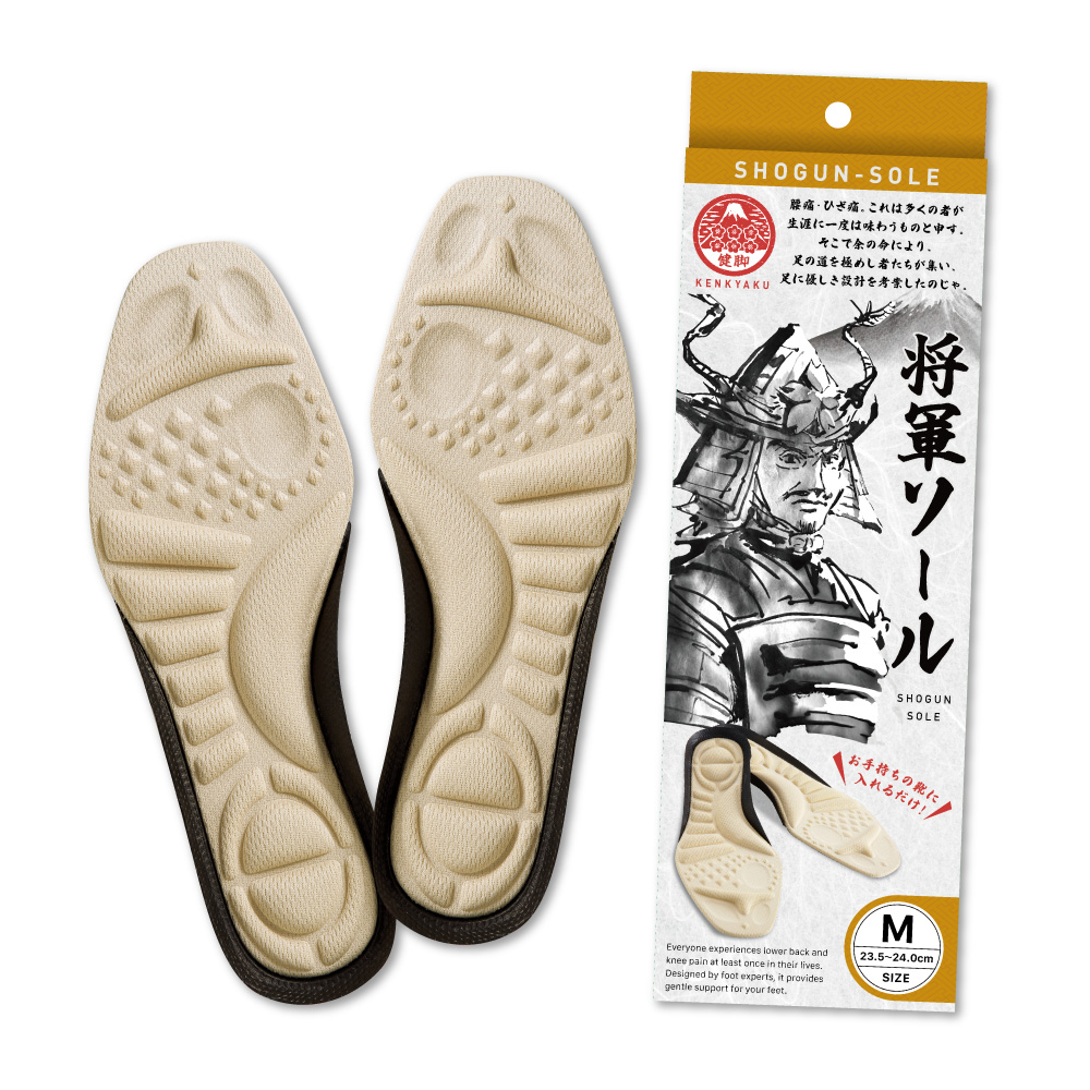 将軍ソール